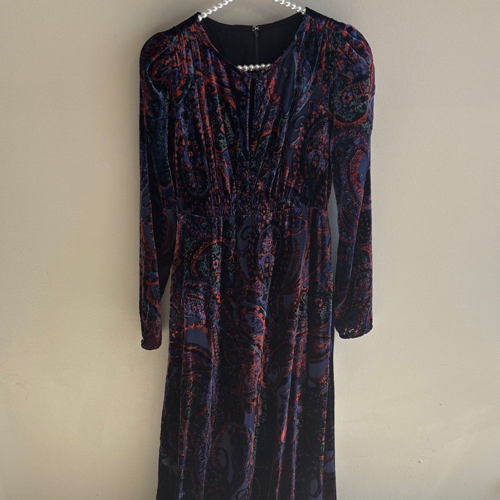 NEW Anthropologie Burnout Velvet Maxi Dress size 2